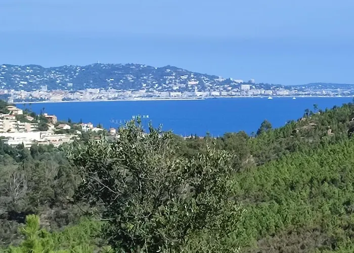 Le Jasmin