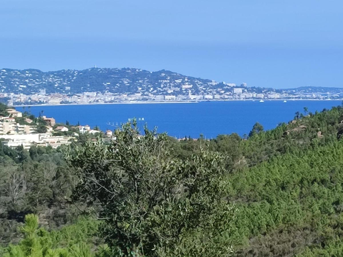 Le Jasmin Apartment Mandelieu-la-Napoule